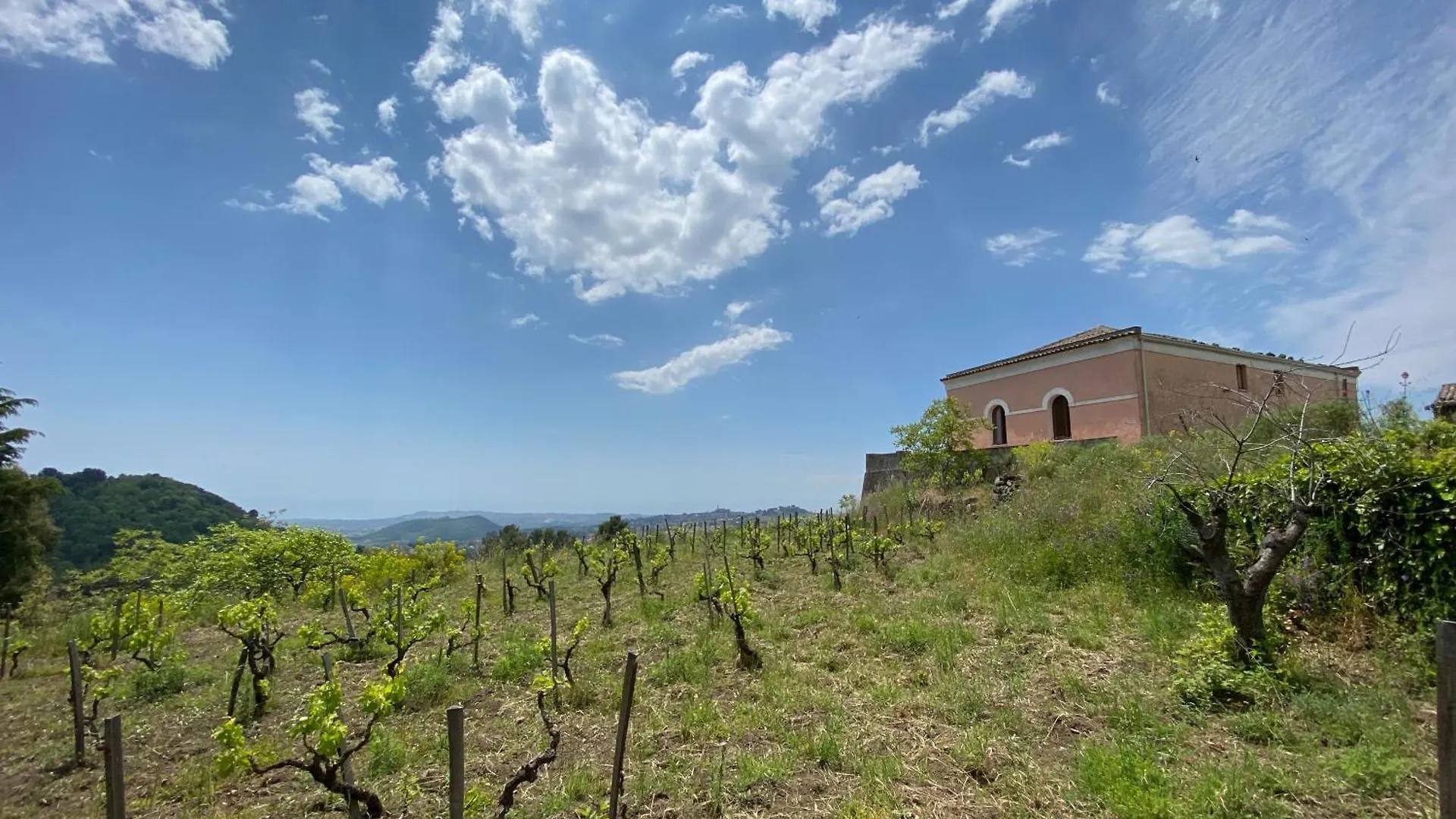 Casale Alle Vigne Trecastagni 0*,