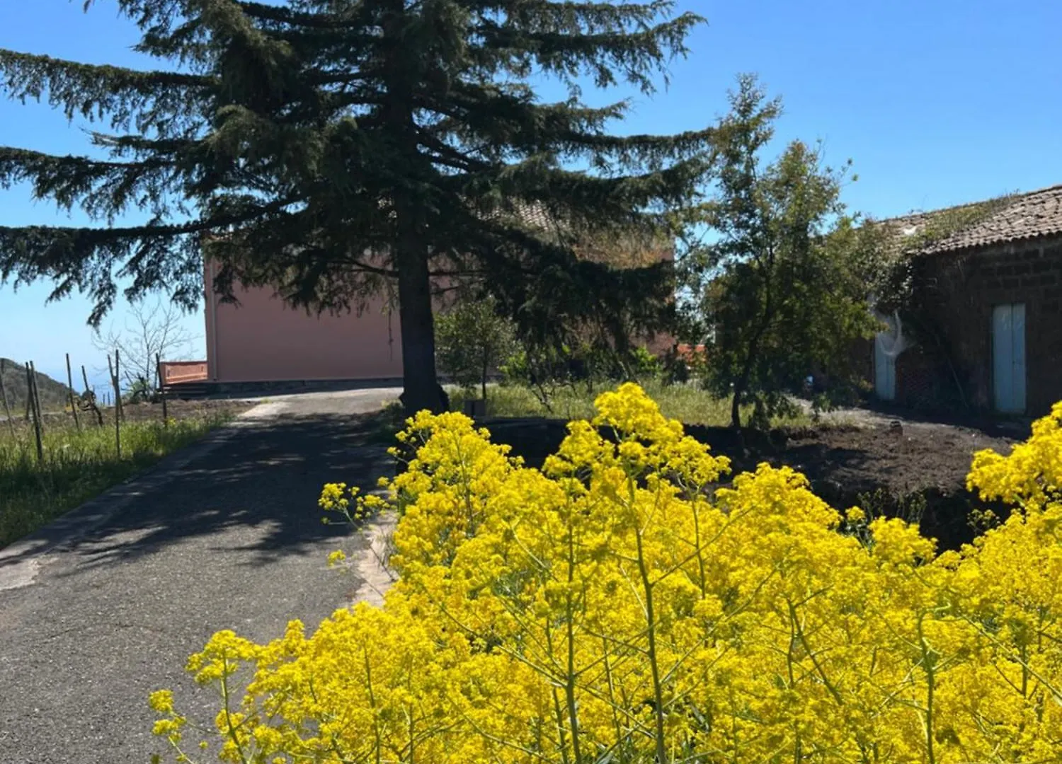 Casale Alle Vigne Trecastagni
