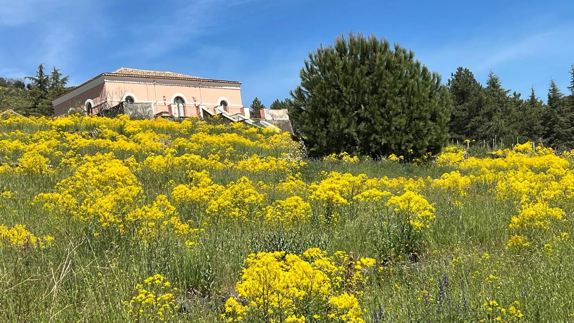Casale Alle Vigne Trecastagni Villa