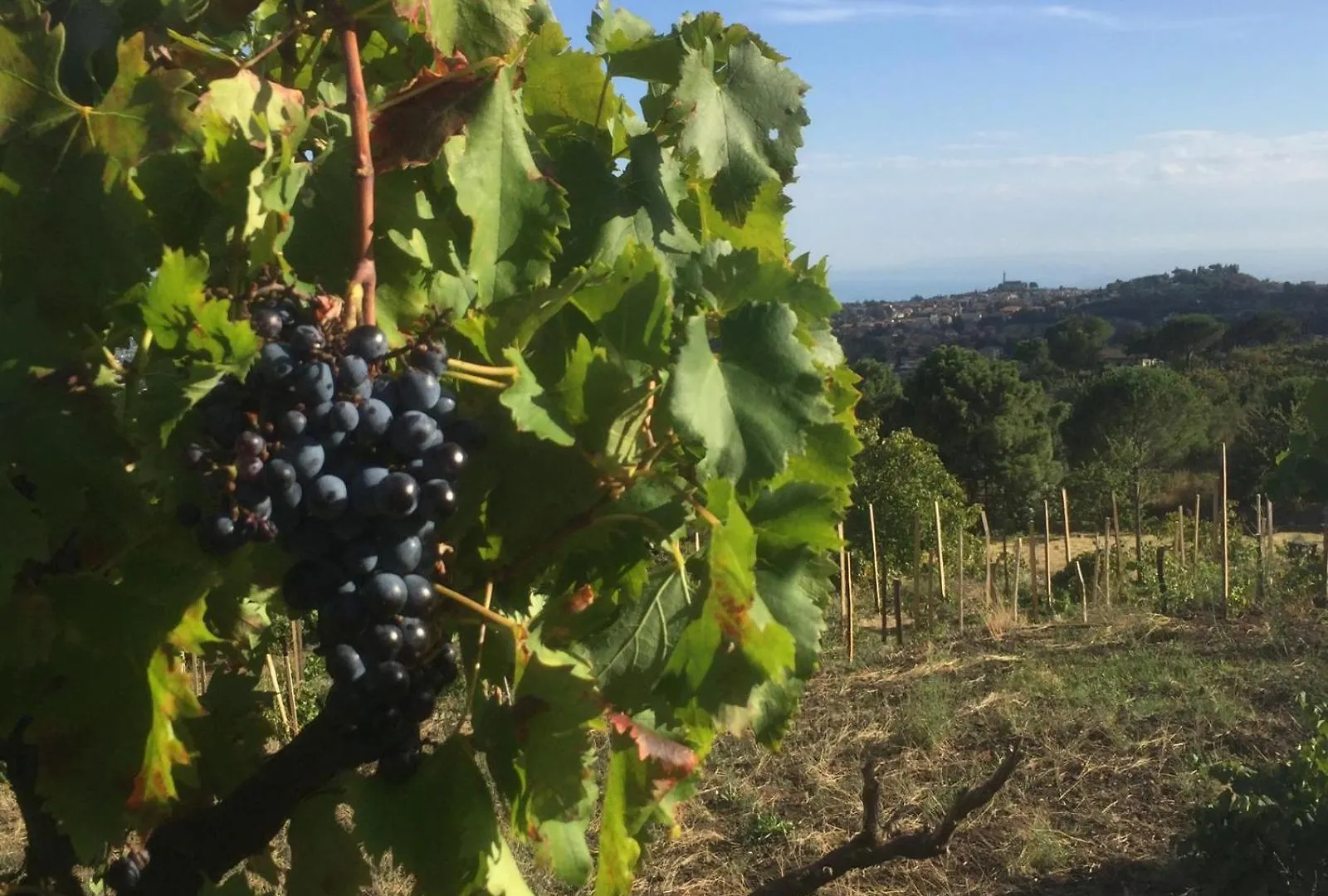 Casale Alle Vigne Trecastagni Villa