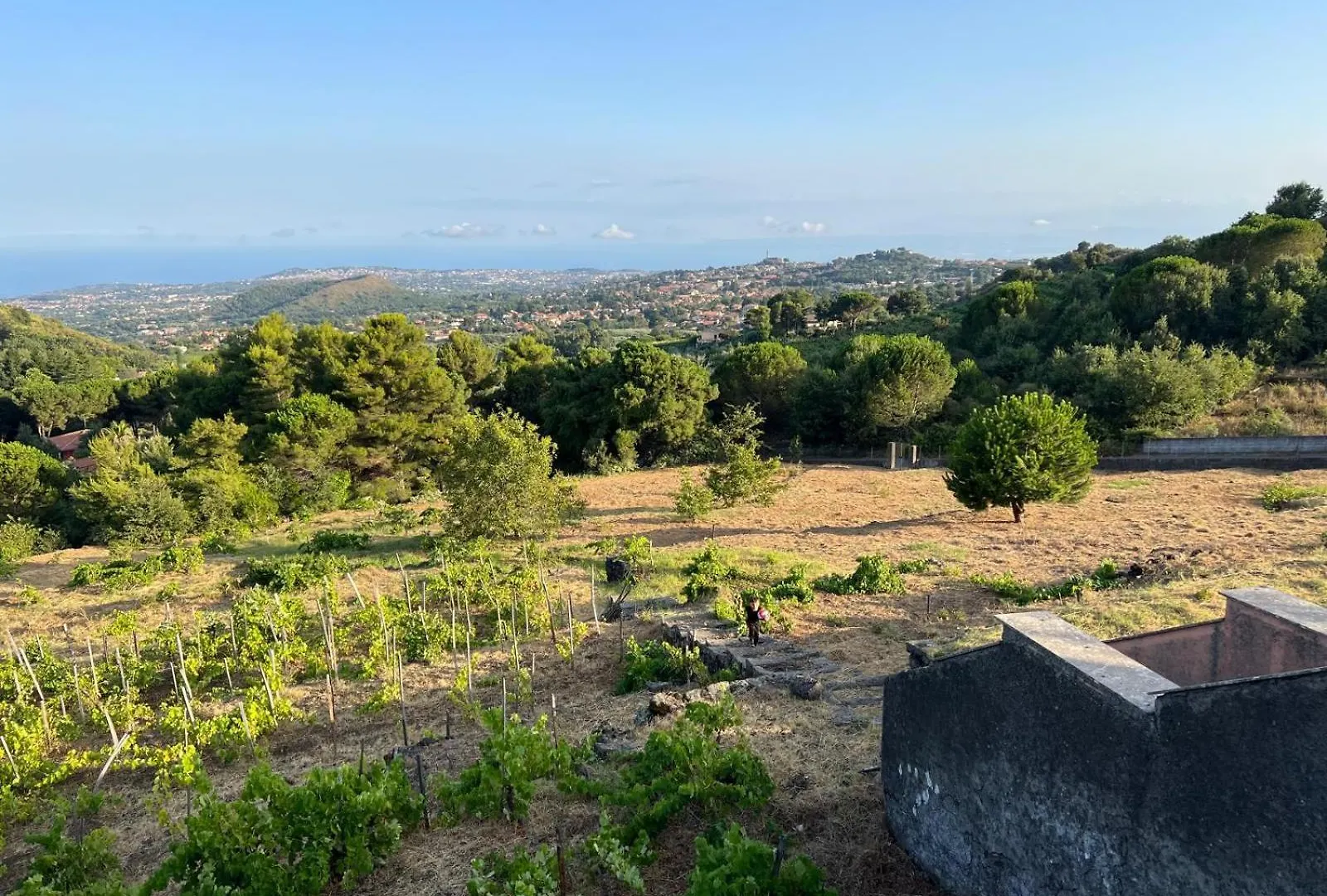 Casale Alle Vigne Trecastagni