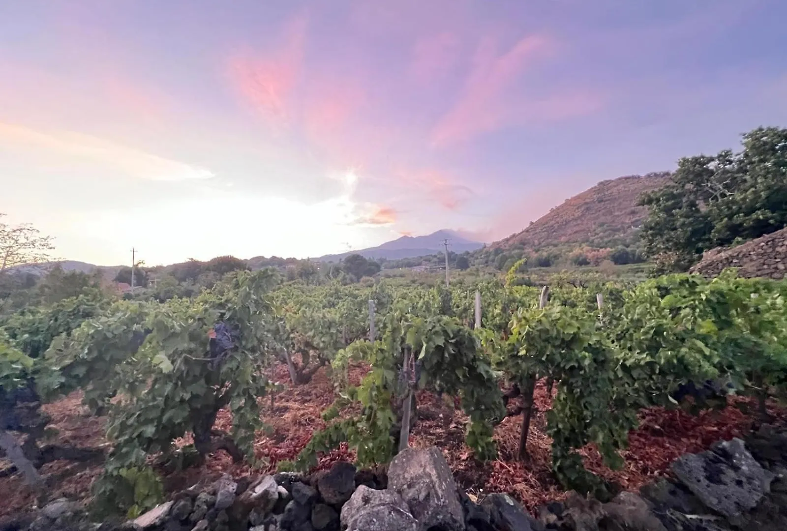 Villa Casale Alle Vigne Trecastagni